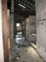 Birkenau Brick Barracks