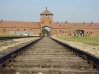 Private Tour